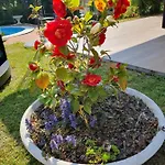בית הארחה Mariel Maggiore גראבלונה טוצ'ה