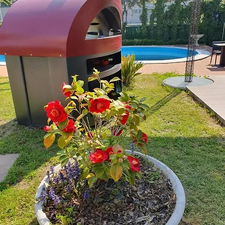 Mariel Maggiore Gravellona Toce